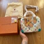 Cartera Louis Vuitton - G5